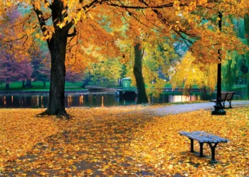 Օդի ջերմաստիճանը կտրուկ կնվազի