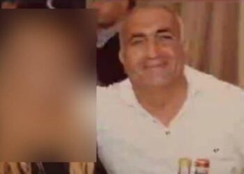 Կատվին տանջամահ անողը «պլան» է օգտագործել