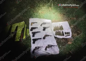 Դալմայի այգիներում զինանոց է հայտնաբերվել